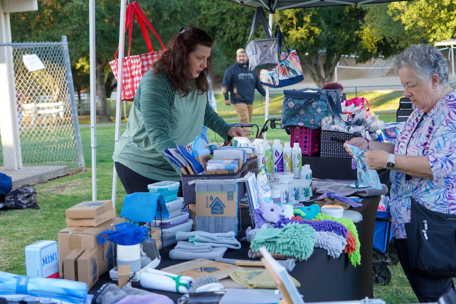 The Enviro Friendly Cleaning Closet by Wendy Weick Norwex at the San Diego Country Estates Holiday at the Ramona Oaks Park